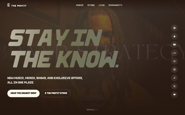 Artist page website preview